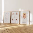 Dental care artworks from www.educare.design