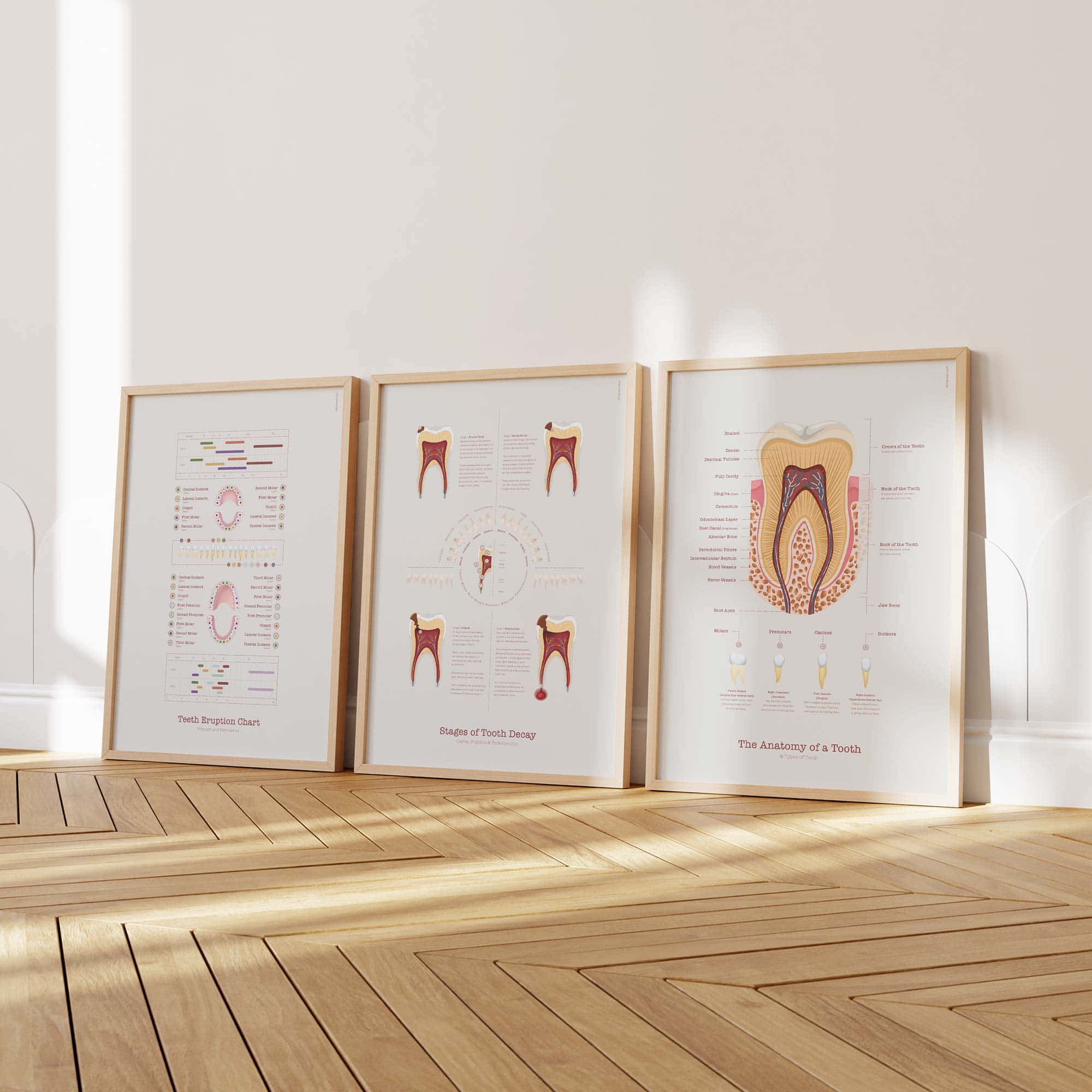 Dental care artworks from www.educare.design