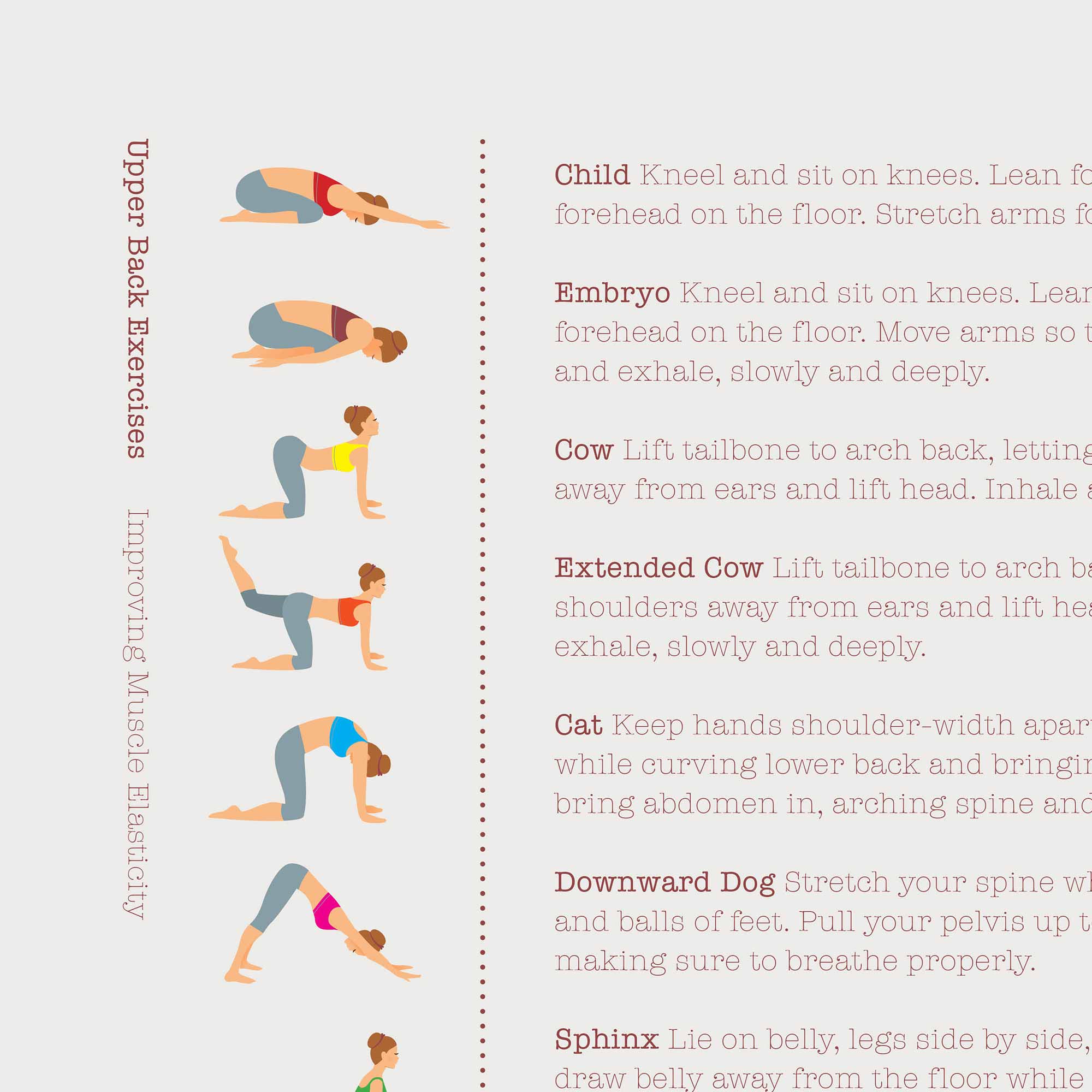 Back Exercises patient handout