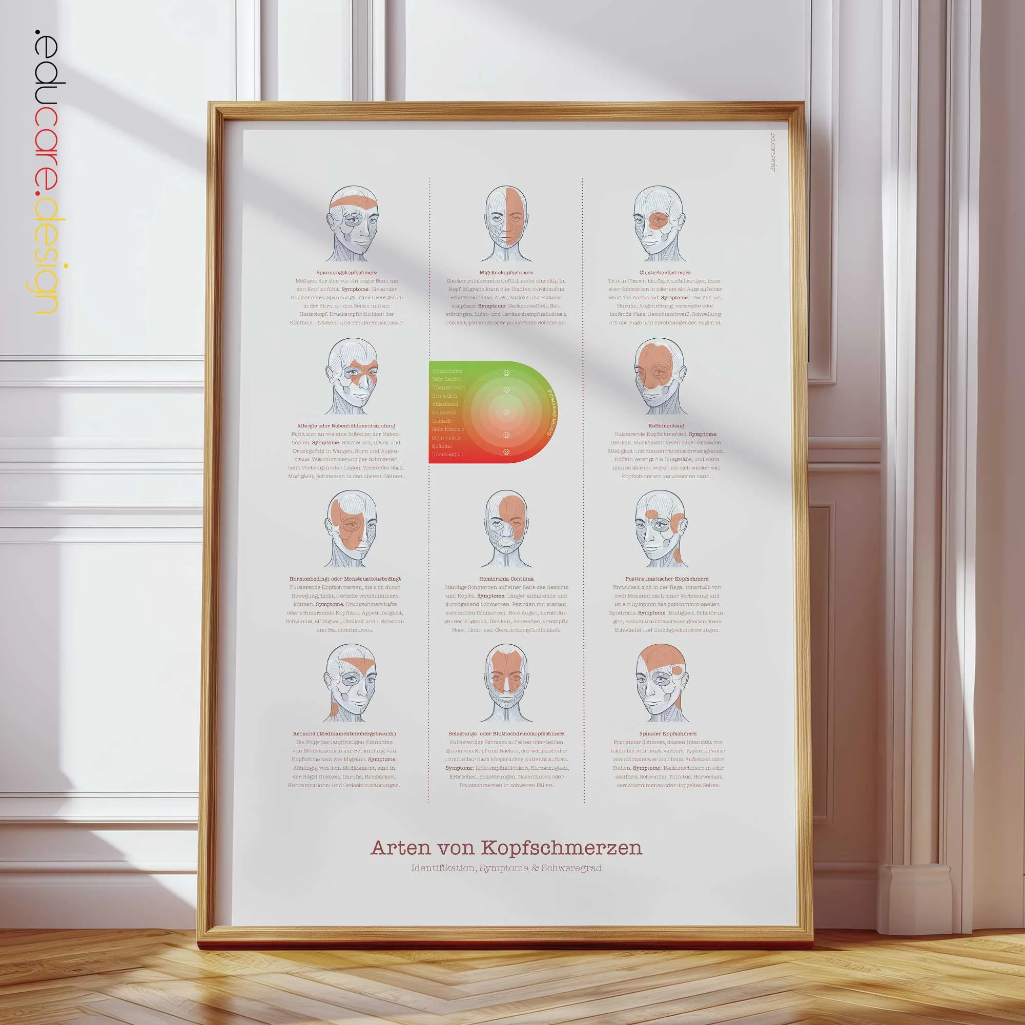 Kopfschmerztypen Anatomie-Chart für Praxen und Kliniken Kopfschmerztypen Anatomie-Chart für Praxen und Kliniken
