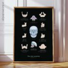 Jaw Anatomy and Palatine Process Chart, Black Edition