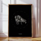 The Ear anatomy chart for clinics