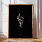 The Knee – educare.design Knee Anatomy, Vintage Black Edition Chart