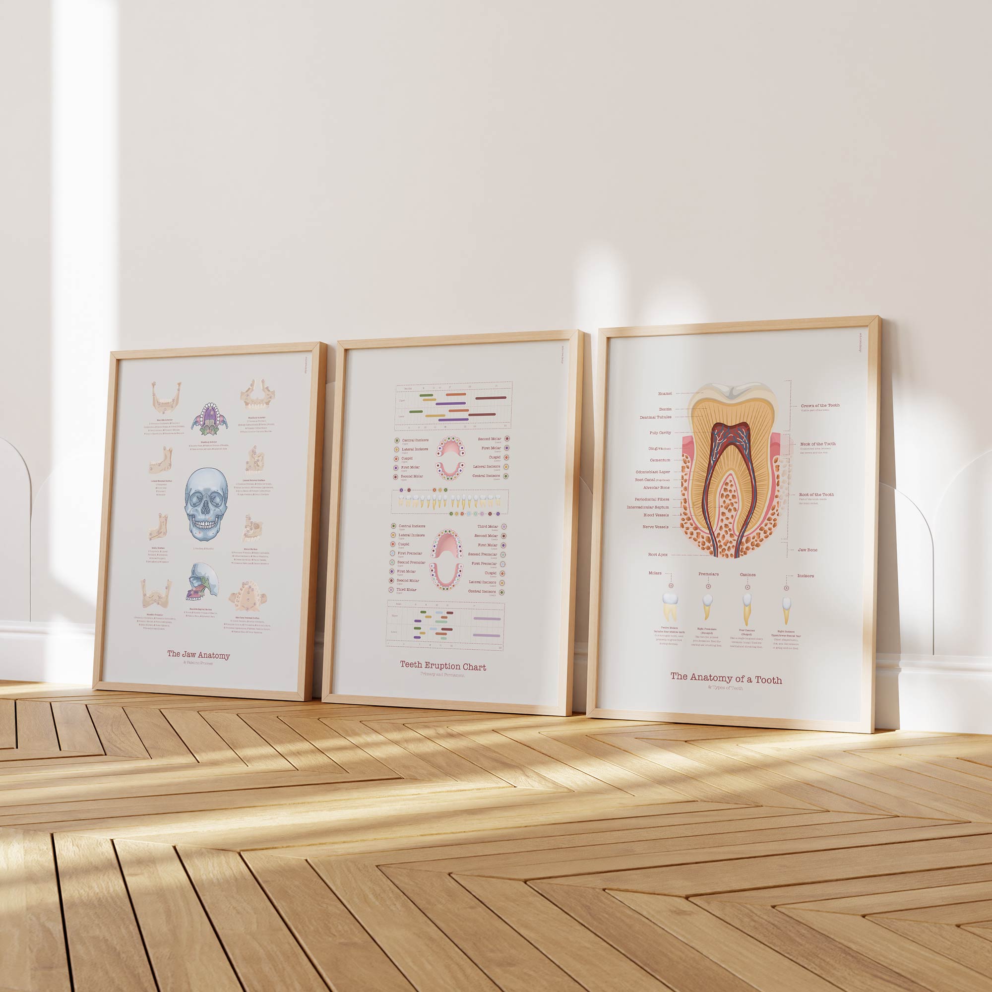 dental care artworks