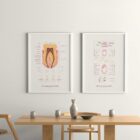 The Anatomy of a Tooth – educare.design Poster sulla cura dei denti da www.educare.design