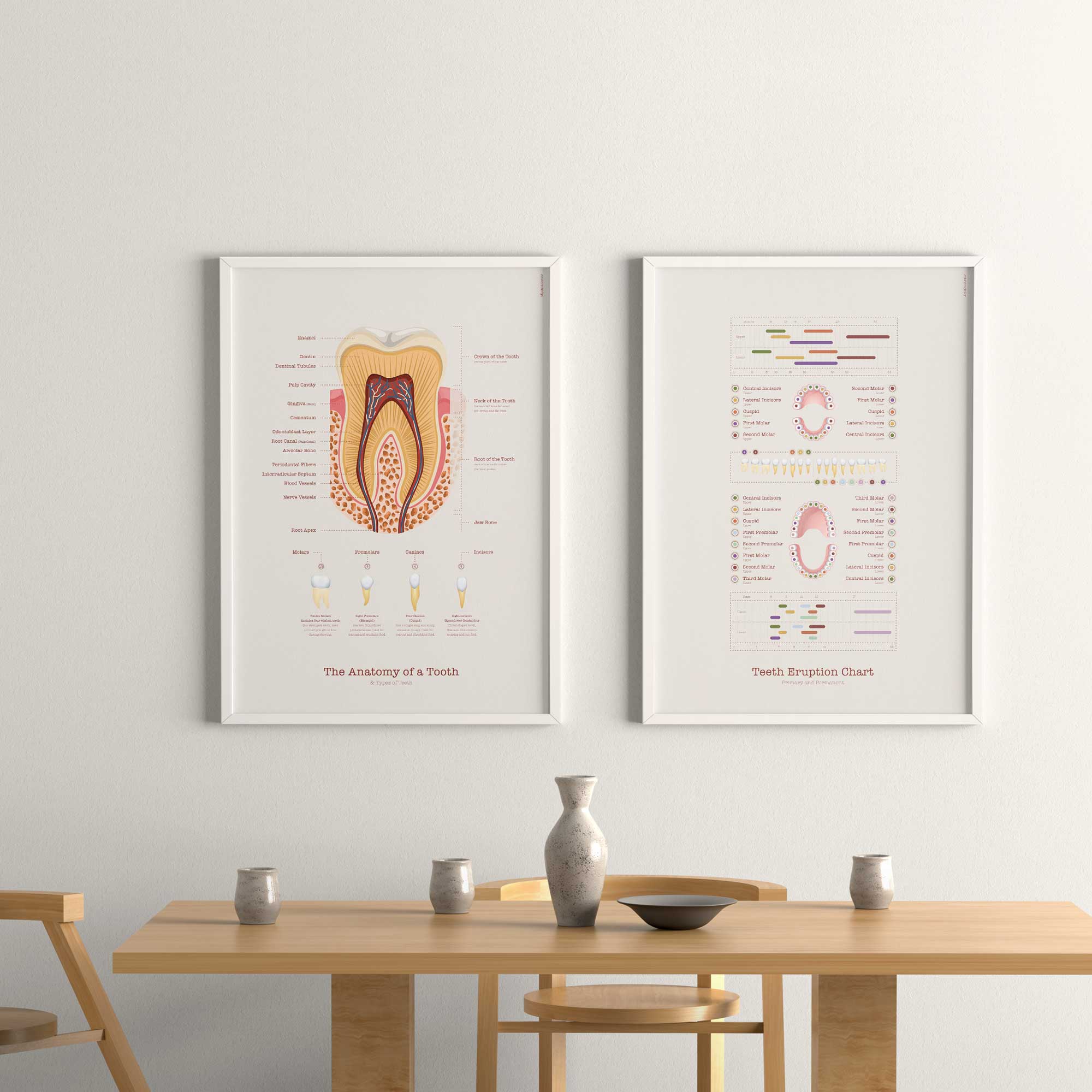 Poster sulla cura dei denti da www.educare.design
