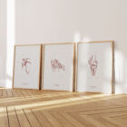 The Knee – educare.design The Vintage Anatomy Artwork