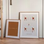 Stages of Tooth Decay