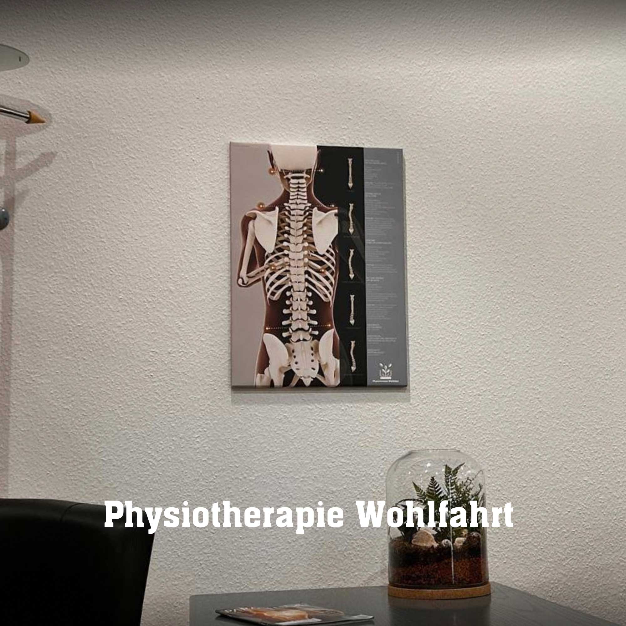 wohlfart 01 – Premium Anatomy Chart by educare.design