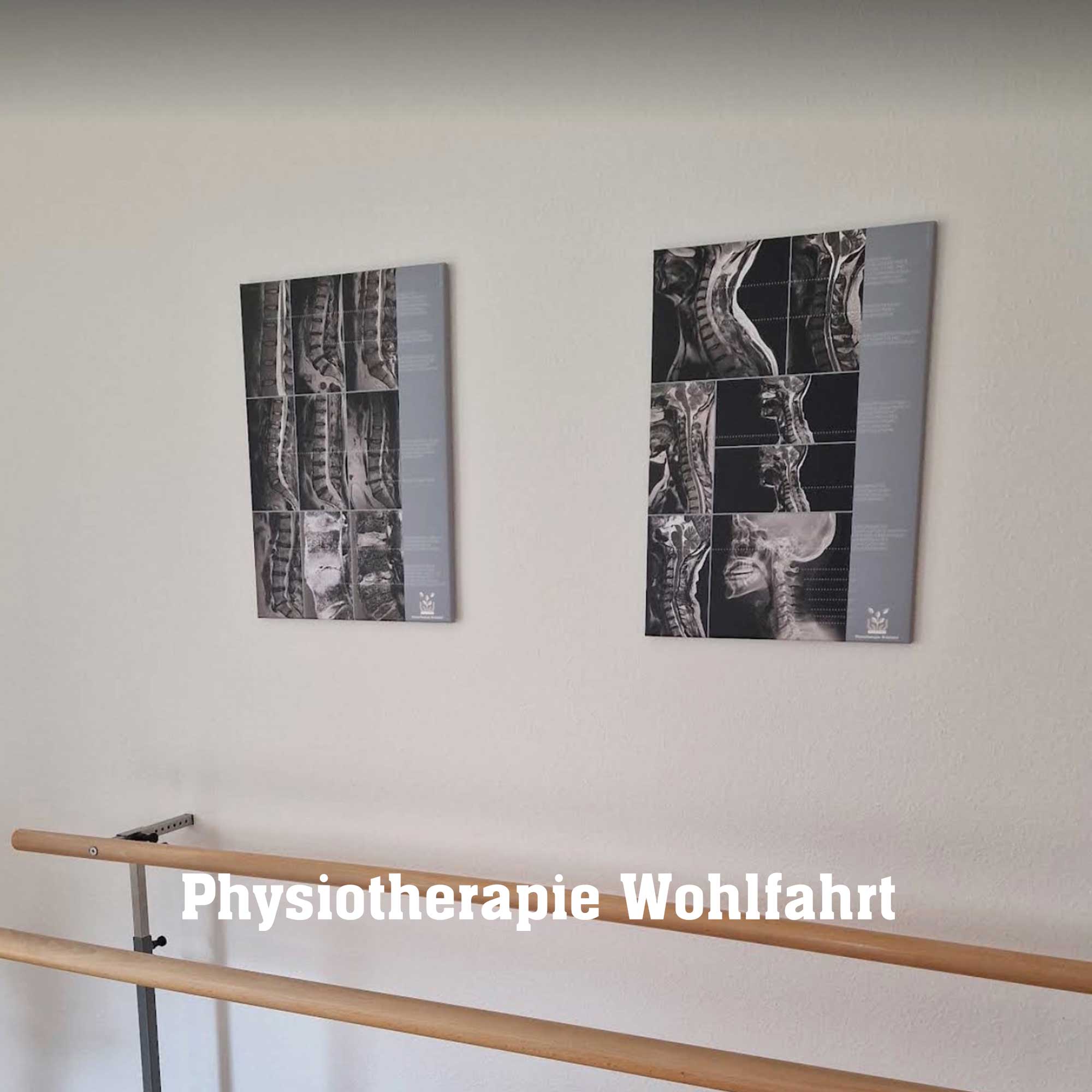 wohlfart 02 – Premium Anatomy Chart by educare.design