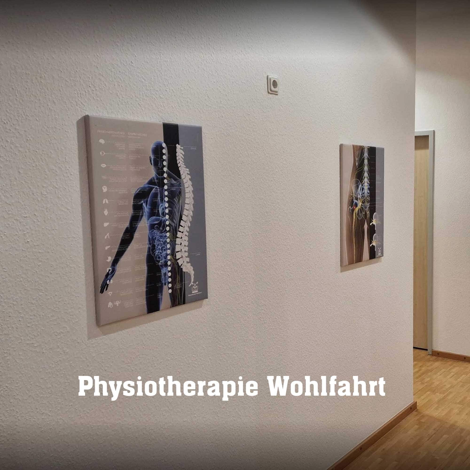 wohlfart 03 – Premium Anatomy Chart by educare.design