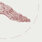 The Foot anatomy chart for clinics