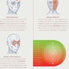 Types of Headaches Chart