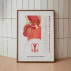 Male Reproductive System