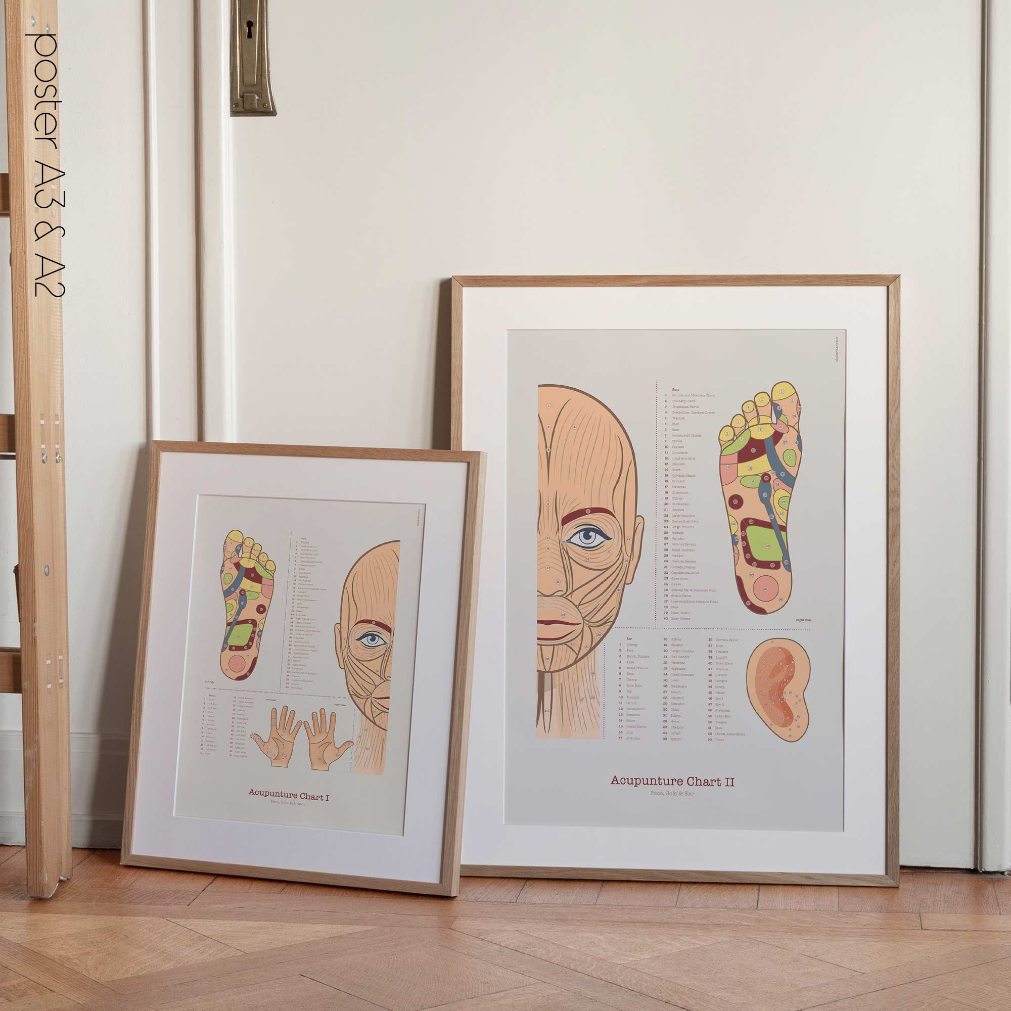Acupuncture Chart