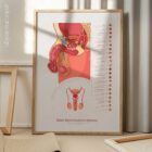 Male Reproductive System