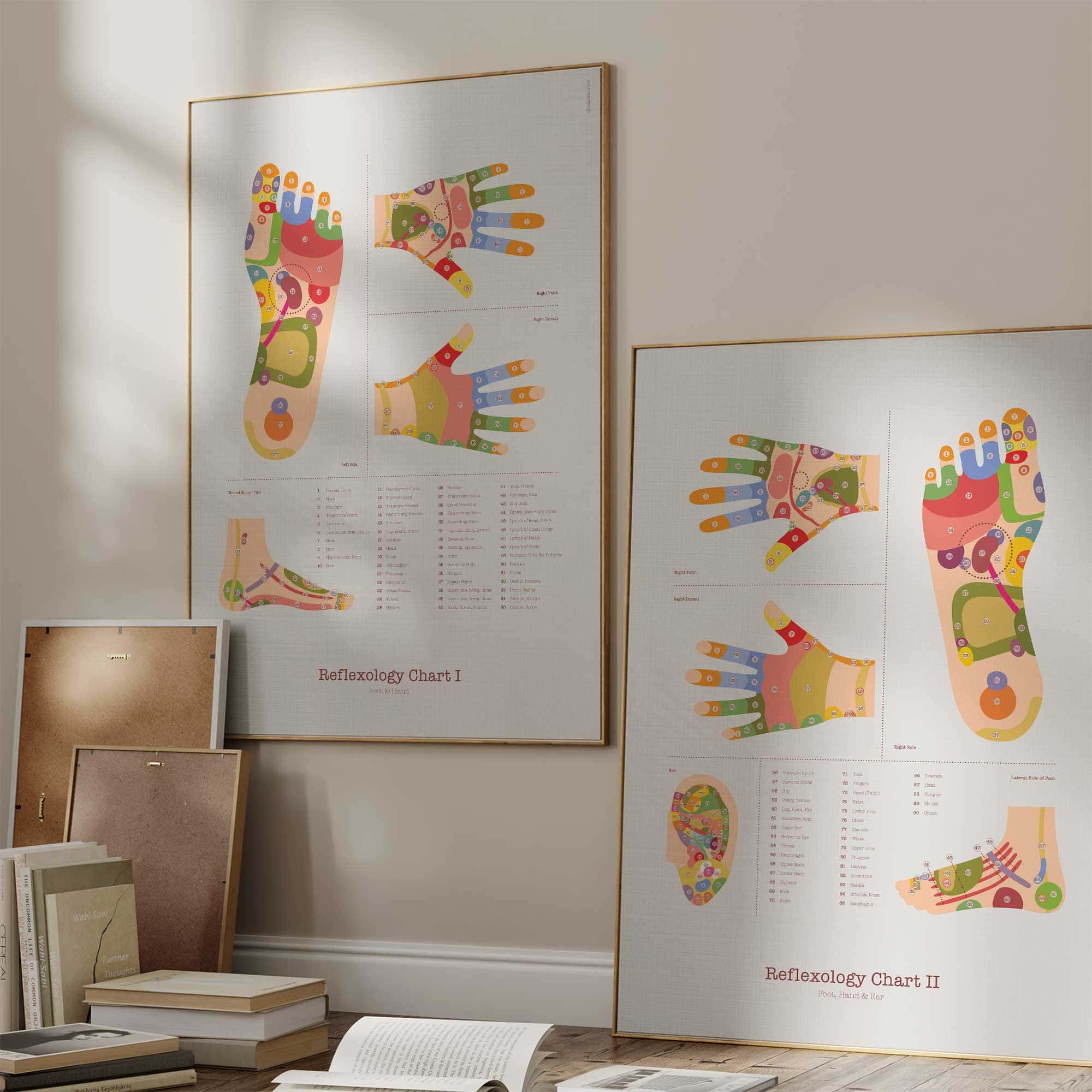 Reflexology Chart Set anatomy chart for clinics Reflexology Chart Set anatomy chart for clinics