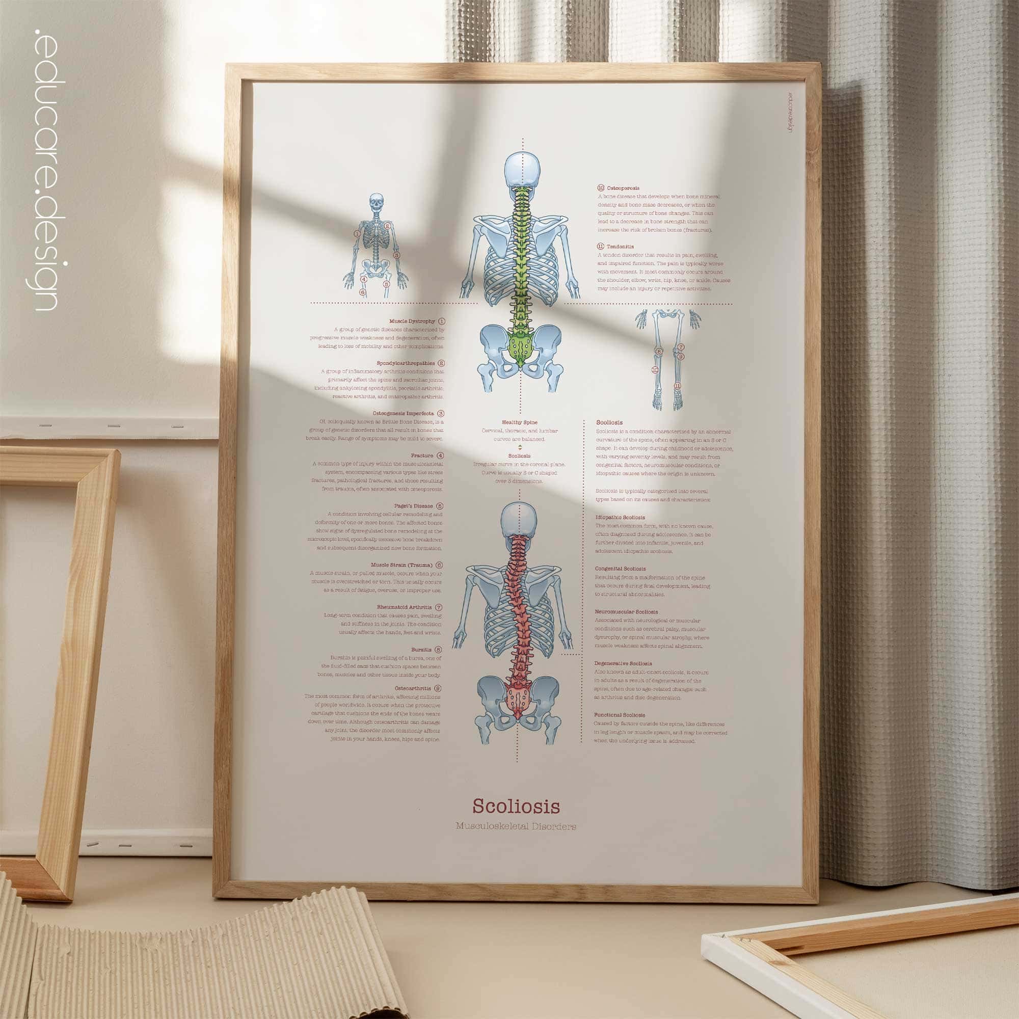 Anatomy Set (2) anatomy chart for clinics