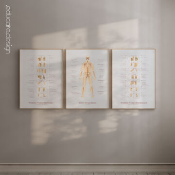 Amputations & Prosthetic Pressure Distribution