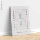 Bursitis, Arthritis, and Tendonitis – educare.design Bursitis Arthritis & Tendonitis