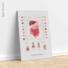 Digestive System and Gastrointestinal Tract Structure anatomy chart for clinics
