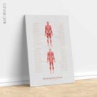 Thai Acupressure Points – educare.design Thai Acupressure Points