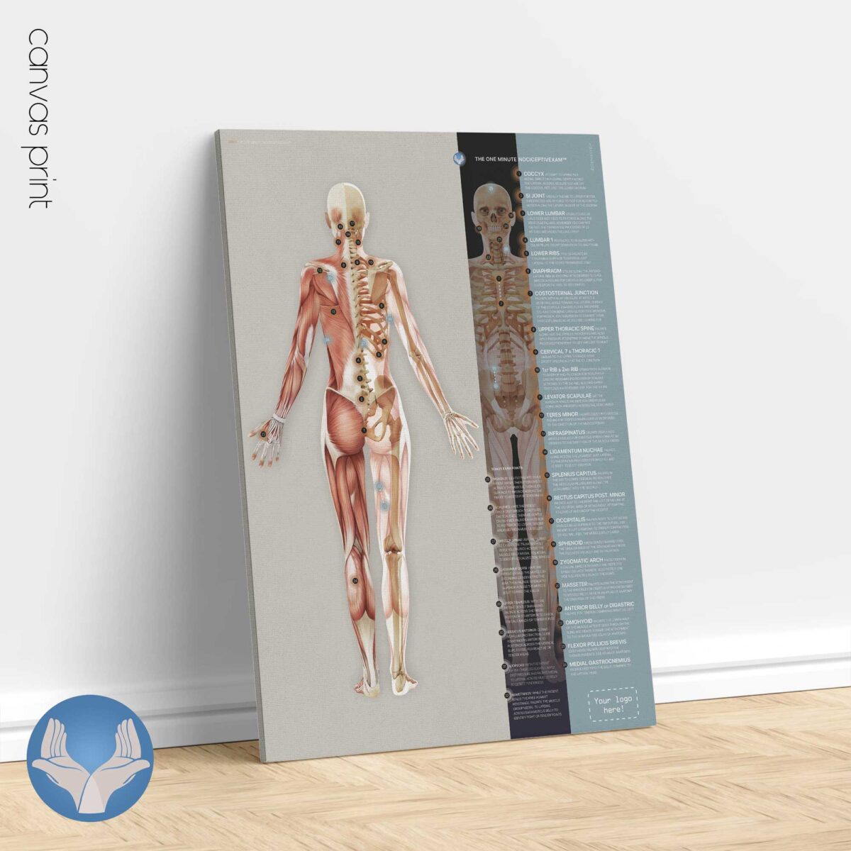 PRRT: NociceptivExam™ in Un Minuto