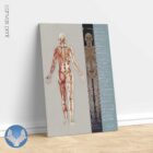 PRRT: One Minute NociceptivExam™