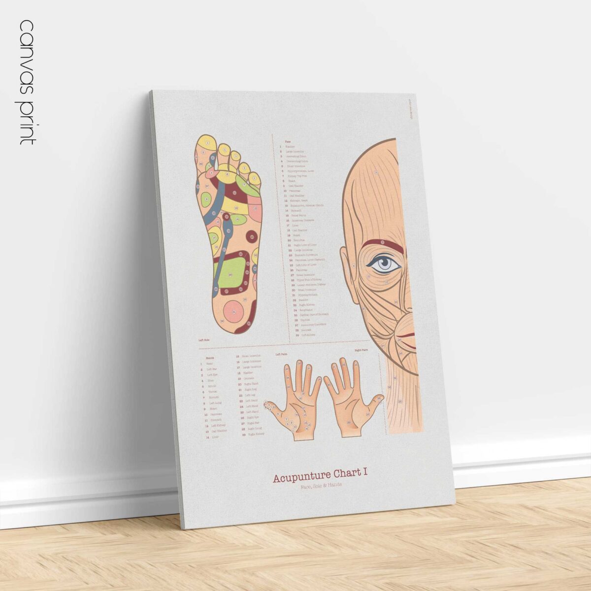 Acupuncture Chart
