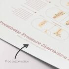 Amputations and Prosthetic Pressure Distribution anatomy chart for clinics