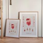 Digestive System and Gastrointestinal Tract Structure