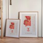 Male Reproductive System