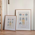 Mechanism of Sciatica – educare.design Sciatica with Stenosis, Hernia & Piriformis Syndrome