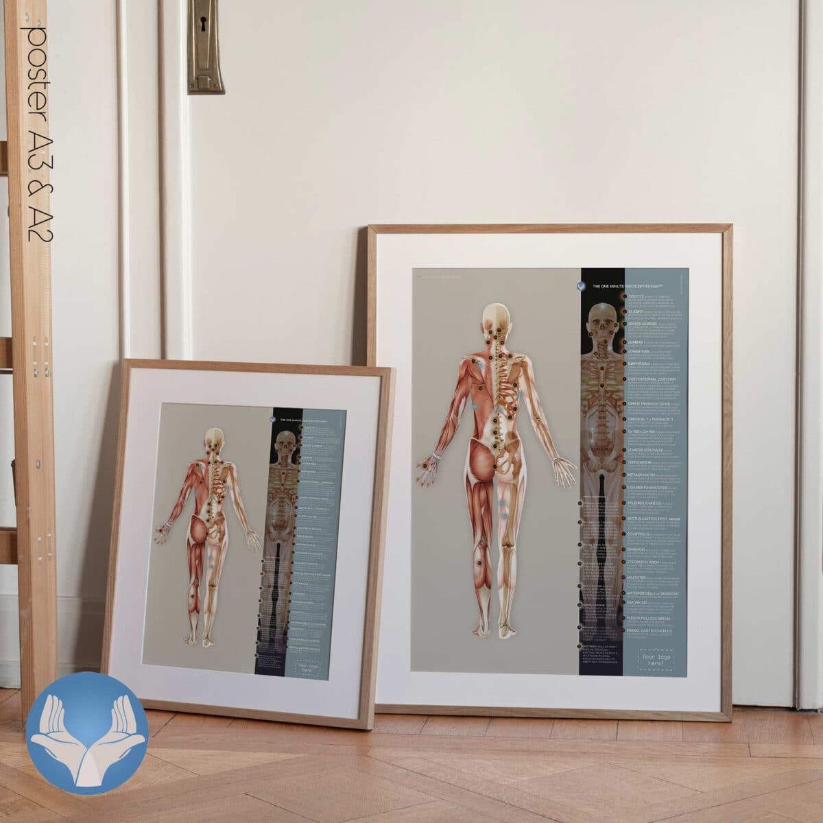 PRRT: NociceptivExam™ in Un Minuto