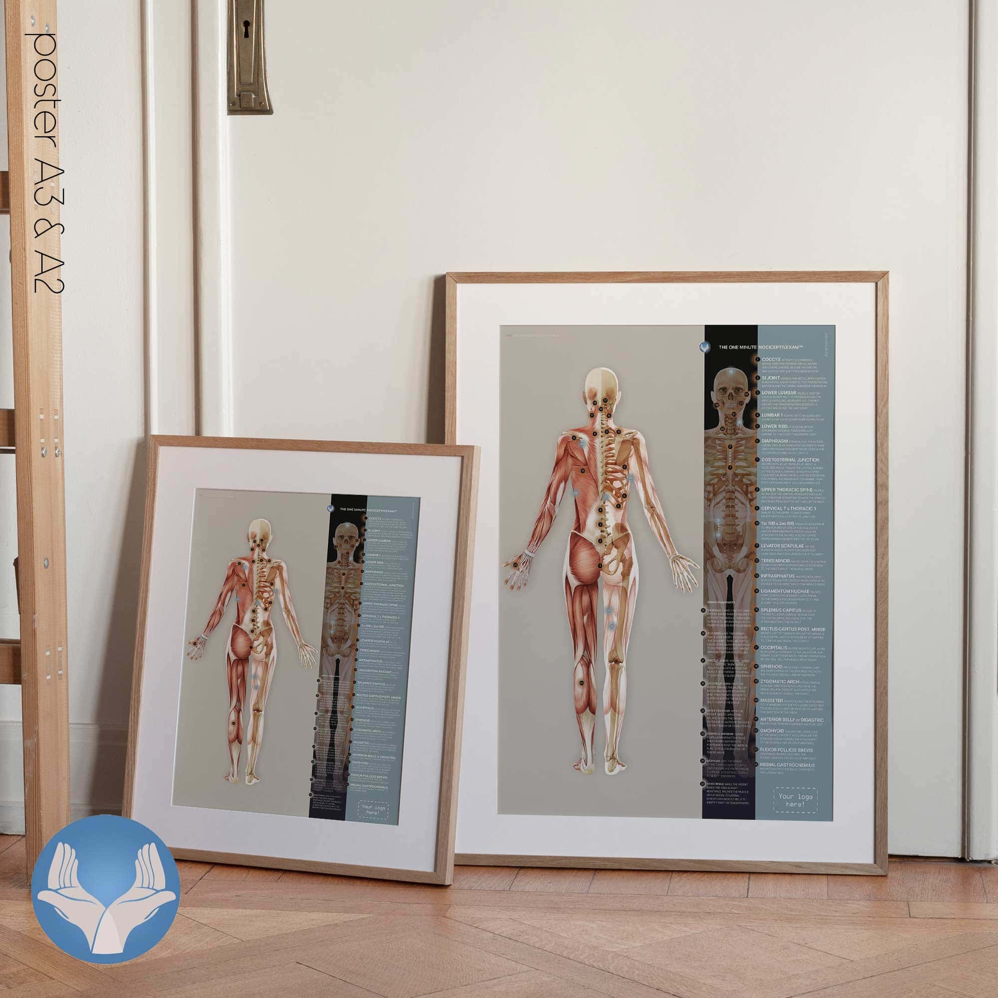 PRRT: One Minute NociceptivExam™