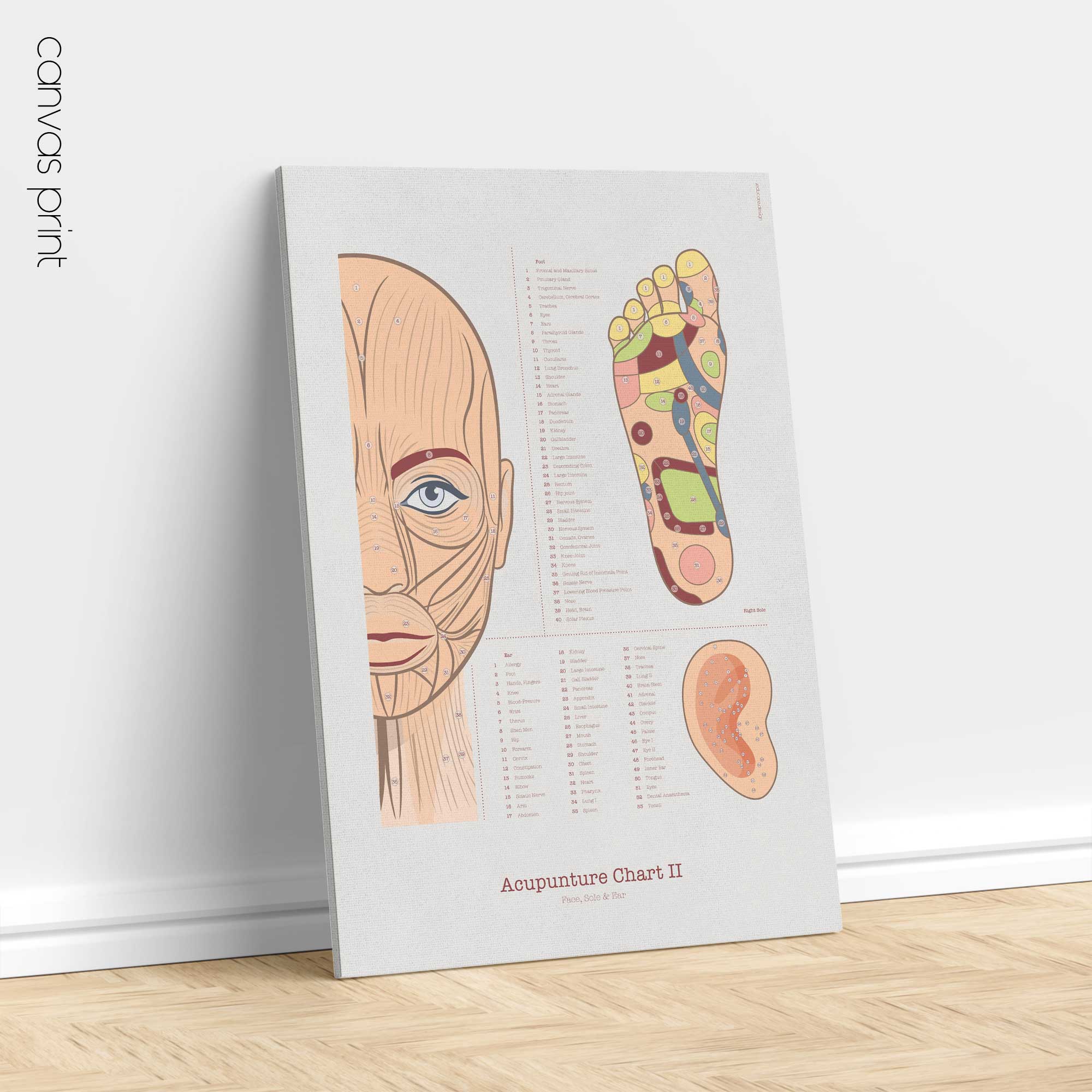 Acupuncture Chart