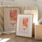 Female Reproductive System – educare.design Female Reproductive System