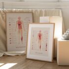 Neural Tissue & Cells; Classifications of Body Tissue and Cells