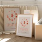 Stages of Fetal Development