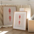 Thai Acupressure Points – educare.design Thai Acupressure Points