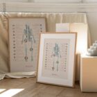 Human joint anatomy with mobility, stability and synovial joints