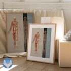 PRRT: One Minute NociceptivExam™