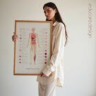 Neural Tissue & Cells; Classifications of Body Tissue and Cells