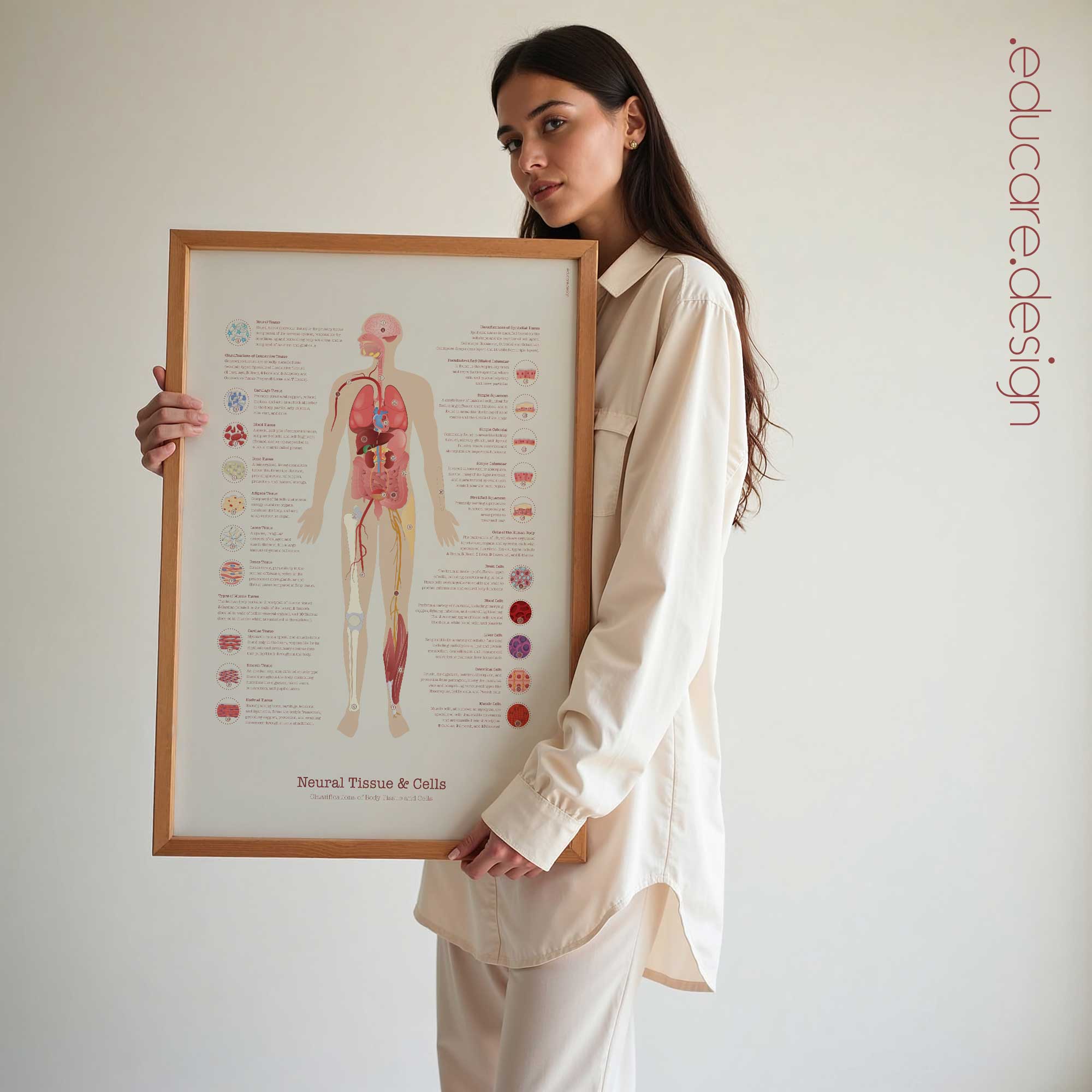 Neural Tissue & Cells; Classifications of Body Tissue and Cells