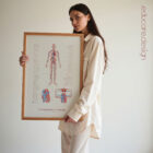 Cardiovascular System with Heart Structure and Blood Flow – educare.design Cardiovascular System with Heart Structure and Blood Flow