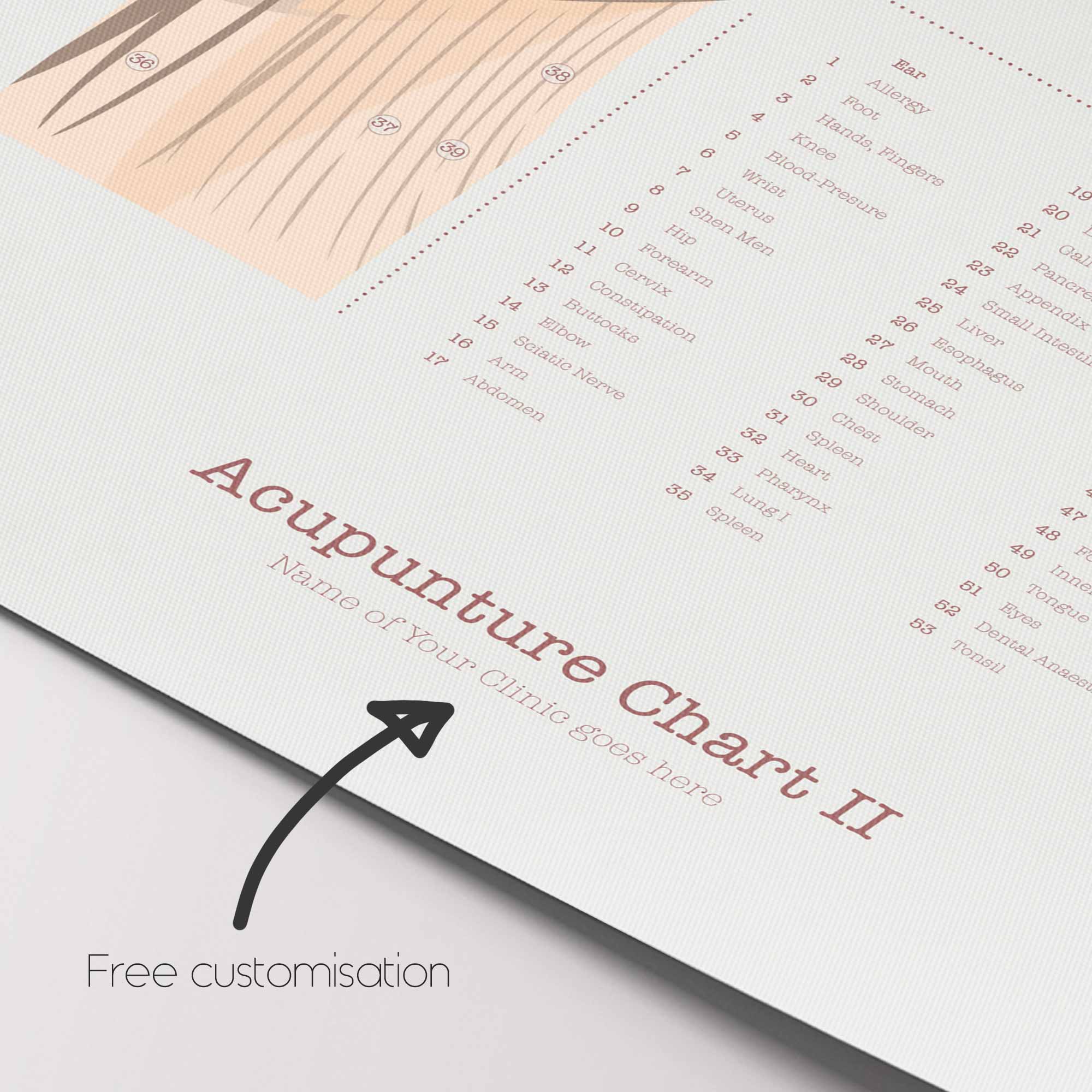 Acupuncture Chart