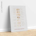 Amputations and Prosthetic Pressure Distribution anatomy chart for clinics