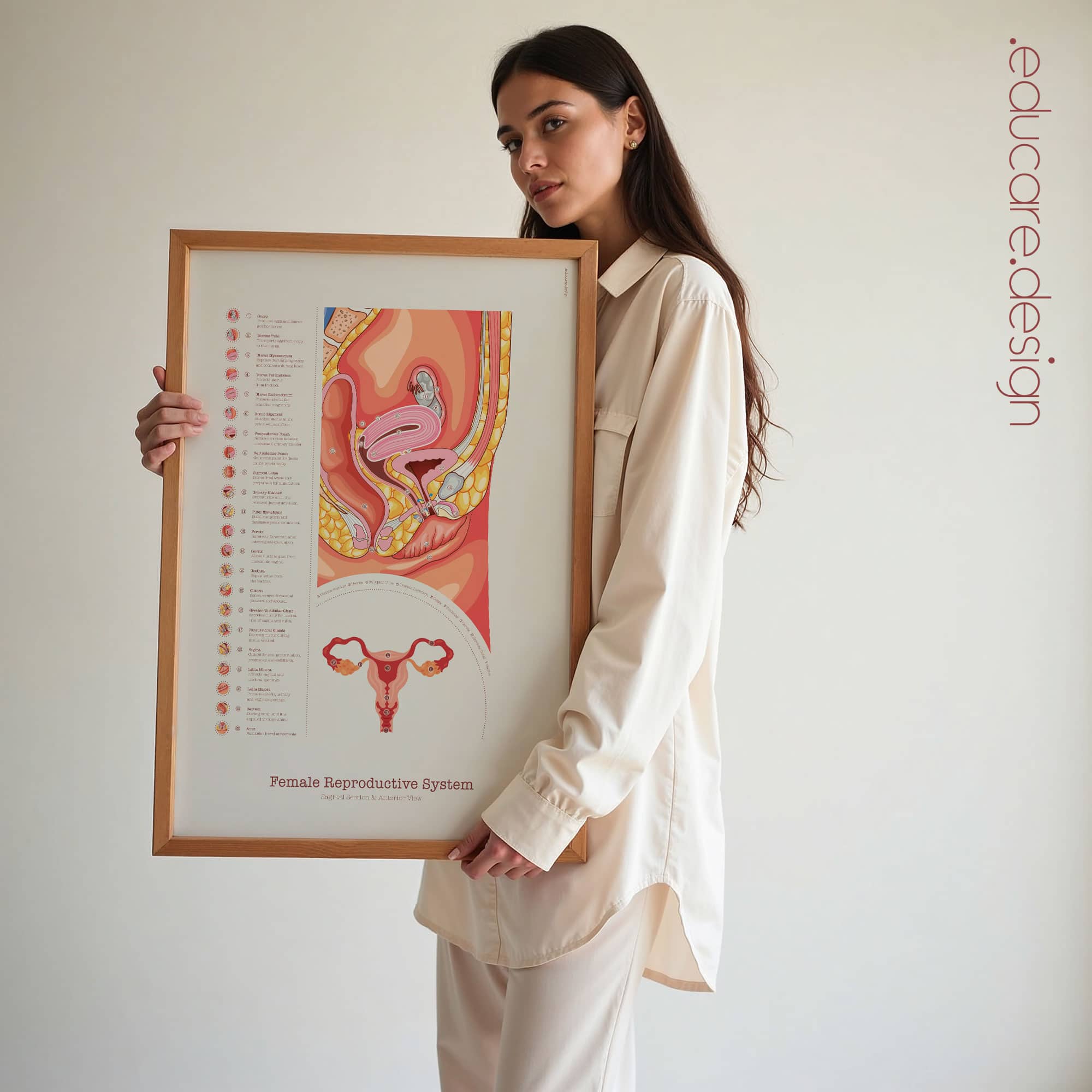 Female Reproductive System