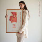 Male Reproductive System