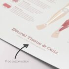 Neural Tissue & Cells; Classifications of Body Tissue and Cells